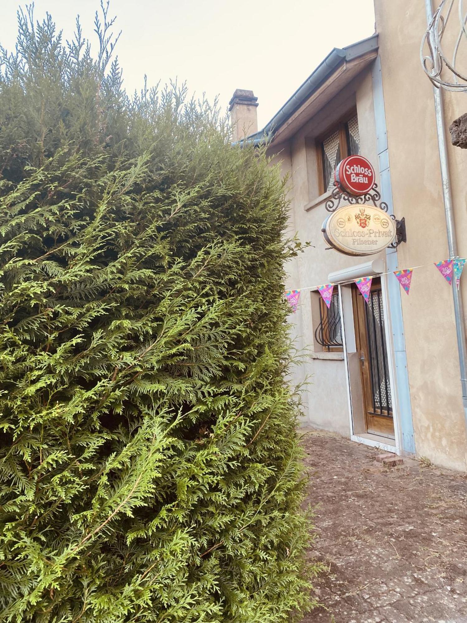 فيلا La Mariefacture - Comme A La Guinguette ! Hombourg-Haut المظهر الخارجي الصورة